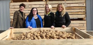 Puffin Produce raise a tonne of cash for Ty Hafan!