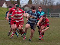 Convincing win for Otters in local derby clash - Narberth 42 Newcastle Emlyn 17