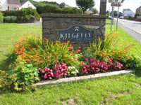 Kilgetty in Bloom preview