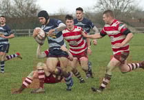 Otters too strong for Newcastle Emlyn