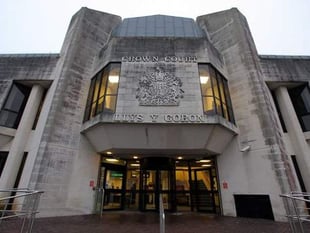 Carmarthenshire Council prosecutes unlicensed dog-breeders