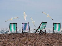 Resident’s concern as ice cream snatching seagulls cause chaos on the coast