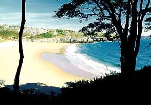 And the best beach for Good Friday fish and chips is… Barafundle ?!