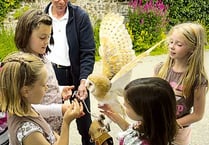 Wild events for families at Colby