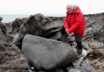 Giant glacial erratic hailed as ’missing piece’ of Bluestone puzzle