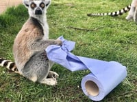 Local wildlife park being ‘vigilant’ to help safeguard against the spread of coronavirus