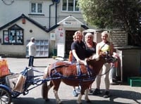 Hot-to-trot Bella delivers smiles and goods to villagers