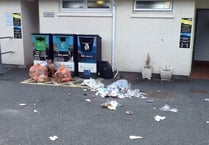 Ongoing ‘environmentally destructive’ fly-tipping needs tackling urgently