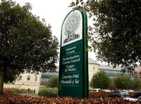 ‘Green ravine’ part of Milford transformation plans