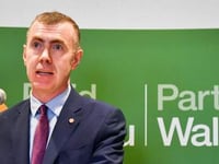Plaid Cymru must 'detoxify' following damning report