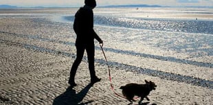 Letters Page: 'Barking mad!'