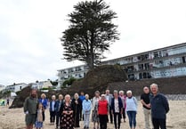 Saundersfoot community gets behind new Society tasked with saving seaside village's 'Lonely Tree'
