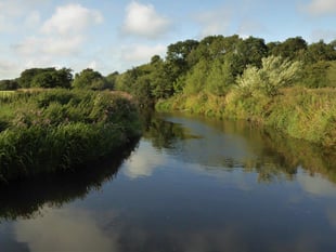 Up the Cleddau and into the heart of the country