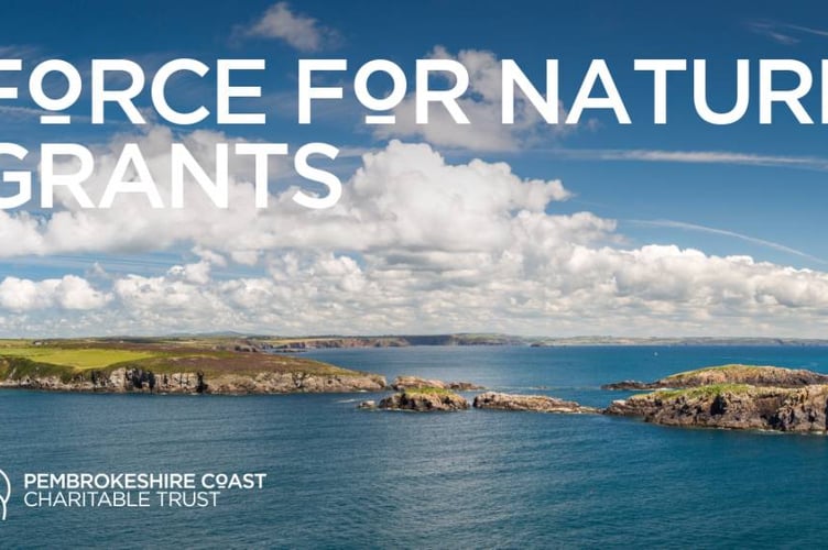 Force For Nature poster