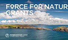 Become a Force for Nature with Pembrokeshire Coast National Park Trust