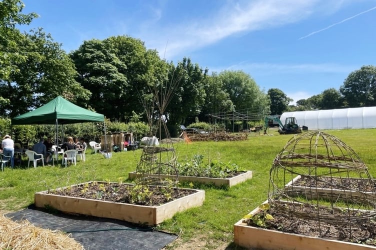 Narberth growing project
