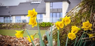 Llys y Fran granted alcohol licence