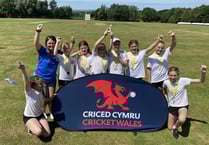 Success for Tenby and Stepaside schools at cricket 