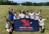Success for Tenby and Stepaside schools at cricket