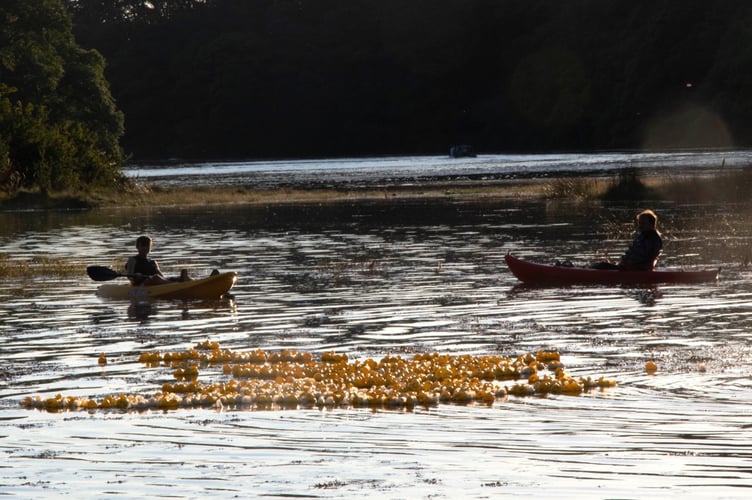Duck race