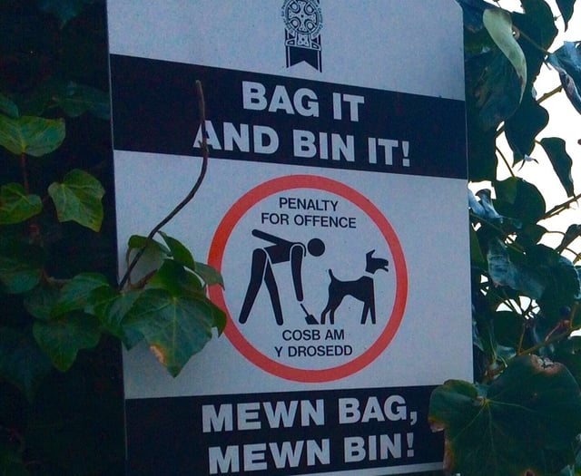Saundersfoot councillors urge public to report dog fouling