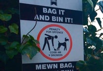 Saundersfoot councillors urge public to report dog fouling