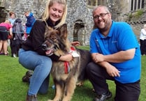 Unleash the fun at Carew Castle’s Doggy Day Out