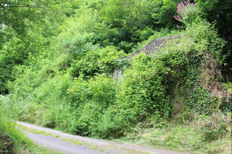 pembroke fixer uppers