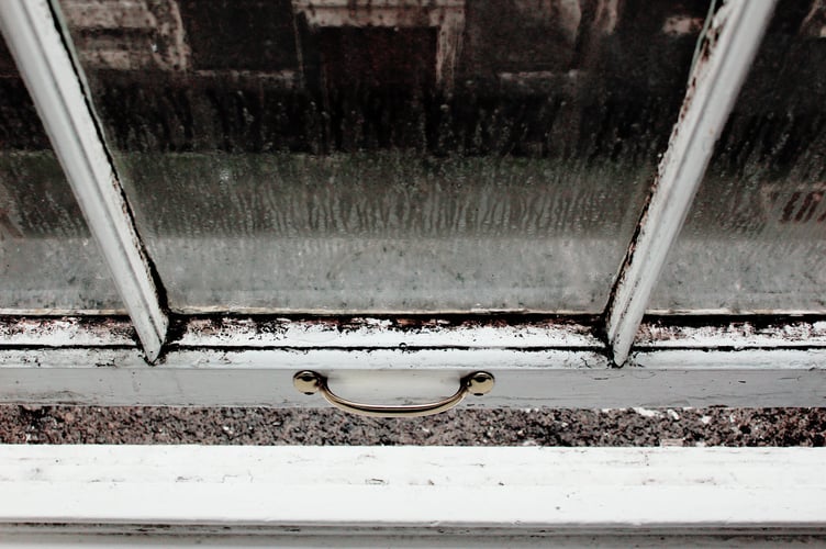 Mould and decay on window
