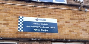 Police appeal after small dog loses life in Pennar dog attack