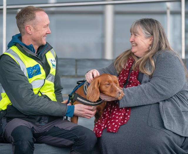 Meet Jinx, the dog on a mission to protect Wales’ endangered seabirds