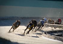 Wales set to ban greyhound racing with new legislation