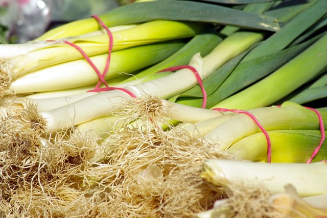 Activity Corner: Tenby Museum presents St David’s Lovely Leek Day