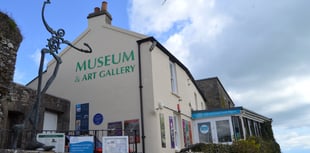 Tenby Museum presents Mick Brown: Private Life of the Gannet