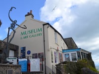 Tenby Museum presents Mick Brown: Private Life of the Gannet