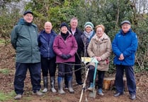 Blossom tree planted at Haverfordwest Racecourse Public Park