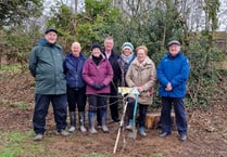 Blossom tree planted at Haverfordwest Racecourse Public Park