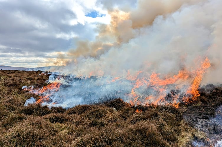 controlled burn on Carningli