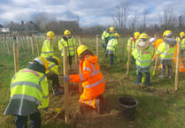 Schools tree planting success on the A40 Improvements Scheme