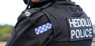 Arrest made after man seriously injured in Solva collision