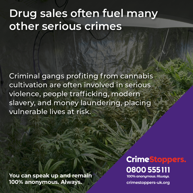 Drug sales information sheet