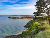 Picture this: Photographs of Pembrokeshire in May 2023 + bonus video 