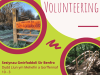 Woodland volunteer sessions at Scolton, Pembrokeshire with Tir Coed