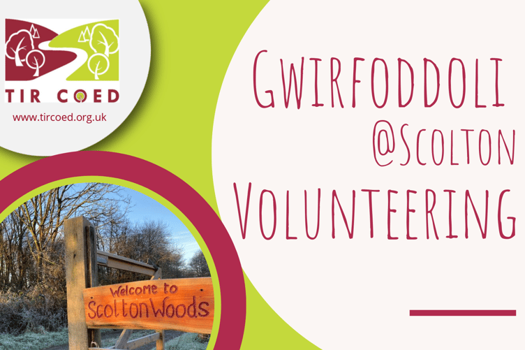 Volunteering at Scolton - poster