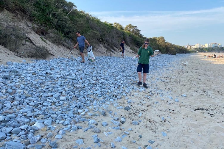 Folly Farm Green Team