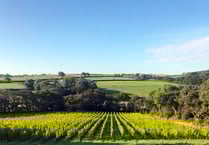 Narberth and Whitland vineyards take part in Welsh Wine Week success