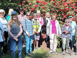 Steps2Health walking club enjoys glorious Pembrokeshire summer