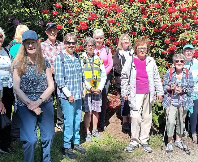 Steps2Health walking club enjoys glorious Pembrokeshire summer