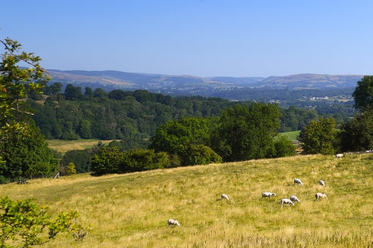 Welsh countryside