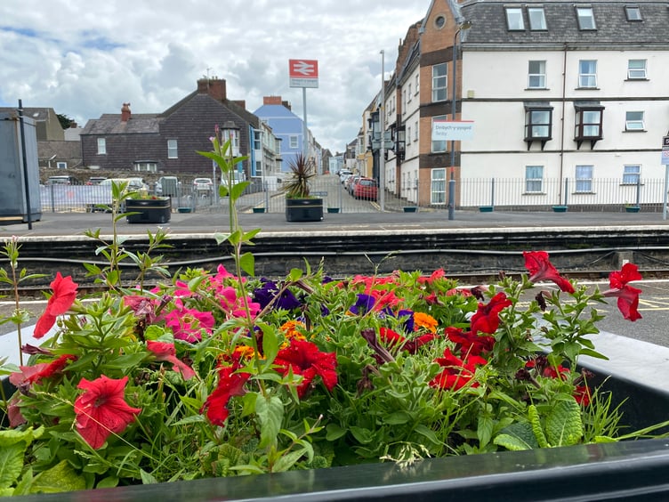 Colourful planter at Tenby Railway Station